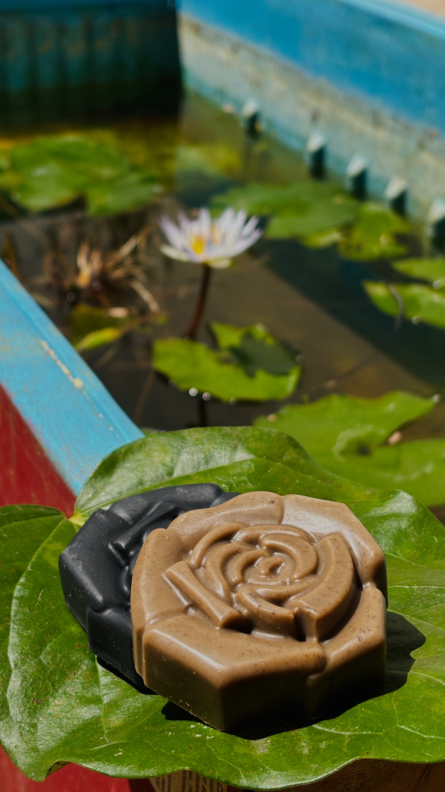 Natural Coffee Soap | Handmade (50 gm) - MaanushiForEarth