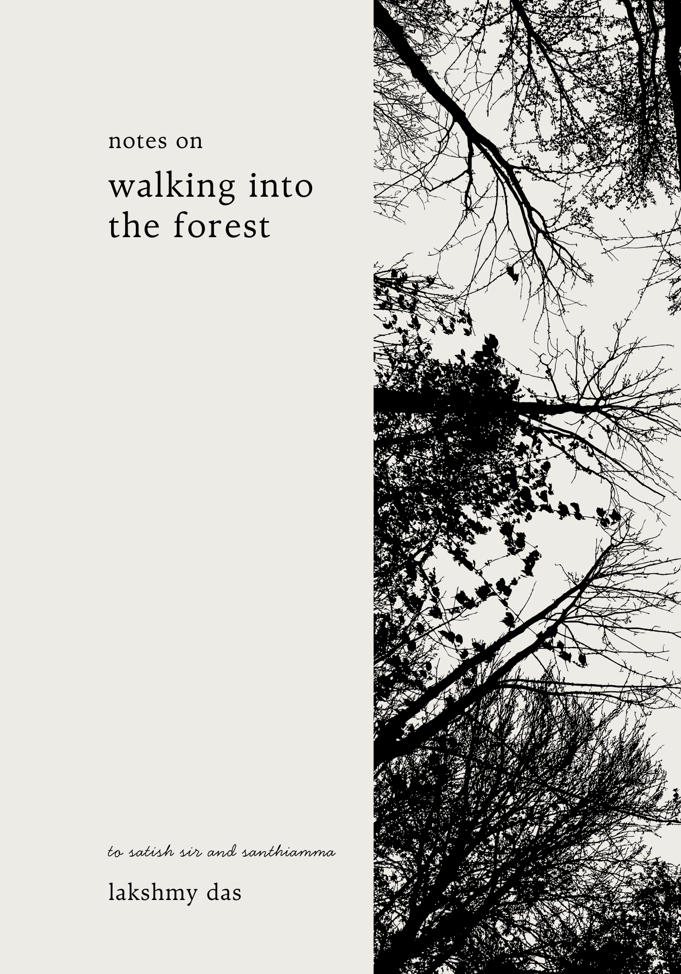 Notes on Walking into the Forest