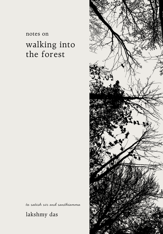 Notes on Walking into the Forest